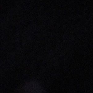 Meet your Posher, Judith